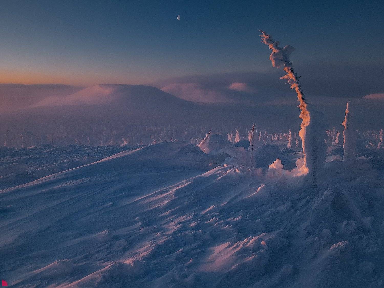 , Осипов Ёжъ Александр