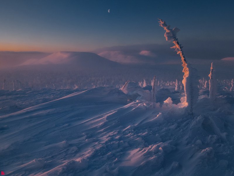 Лунное утро фото превью