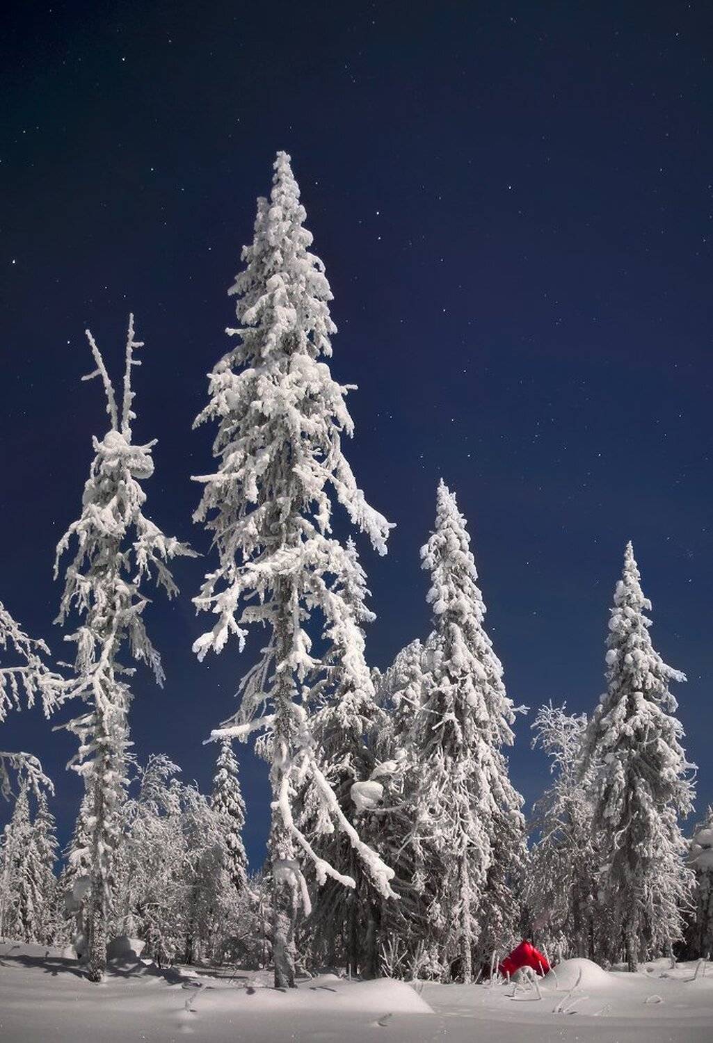 урал, зима, ночь, Сергей Макурин