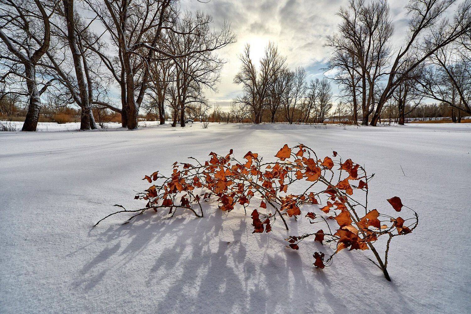 южный, урал, губерля орск, новотроицк, Качурин Алексей