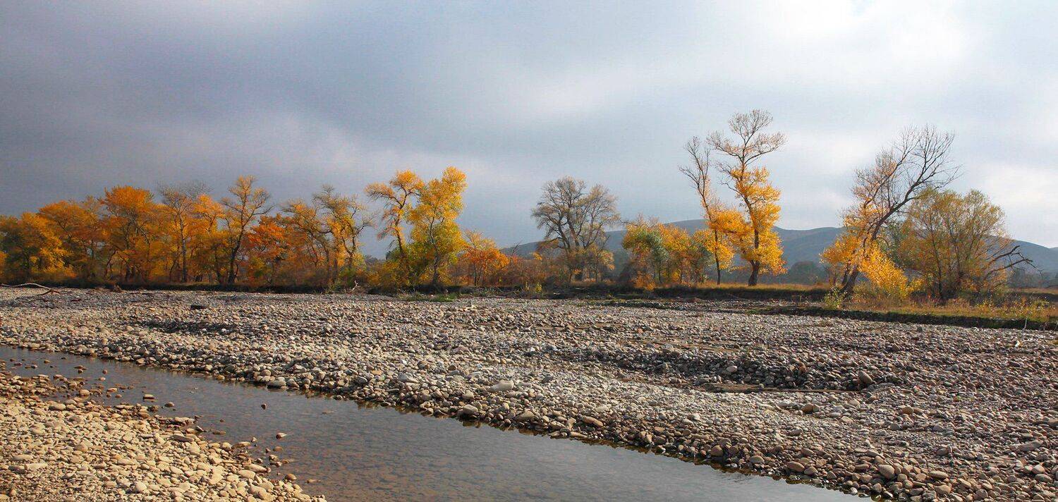 осень,река,пейзаж,горы,лес,природа,дагестан., Marat Magov