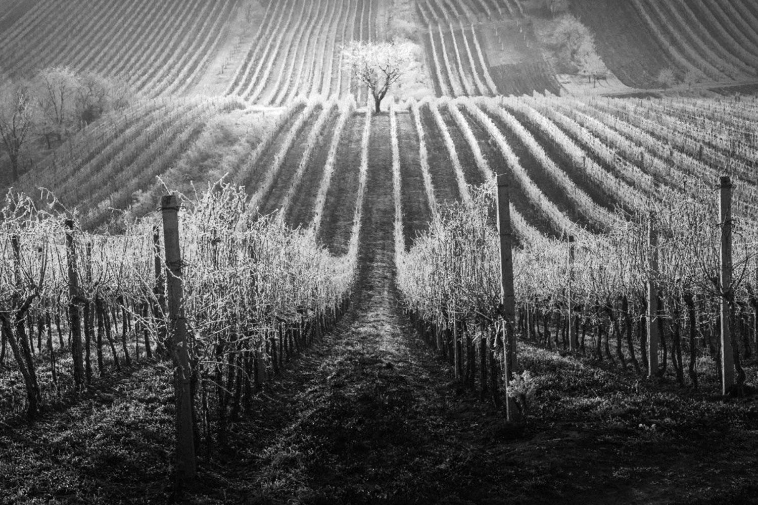 , Анна Пакутина