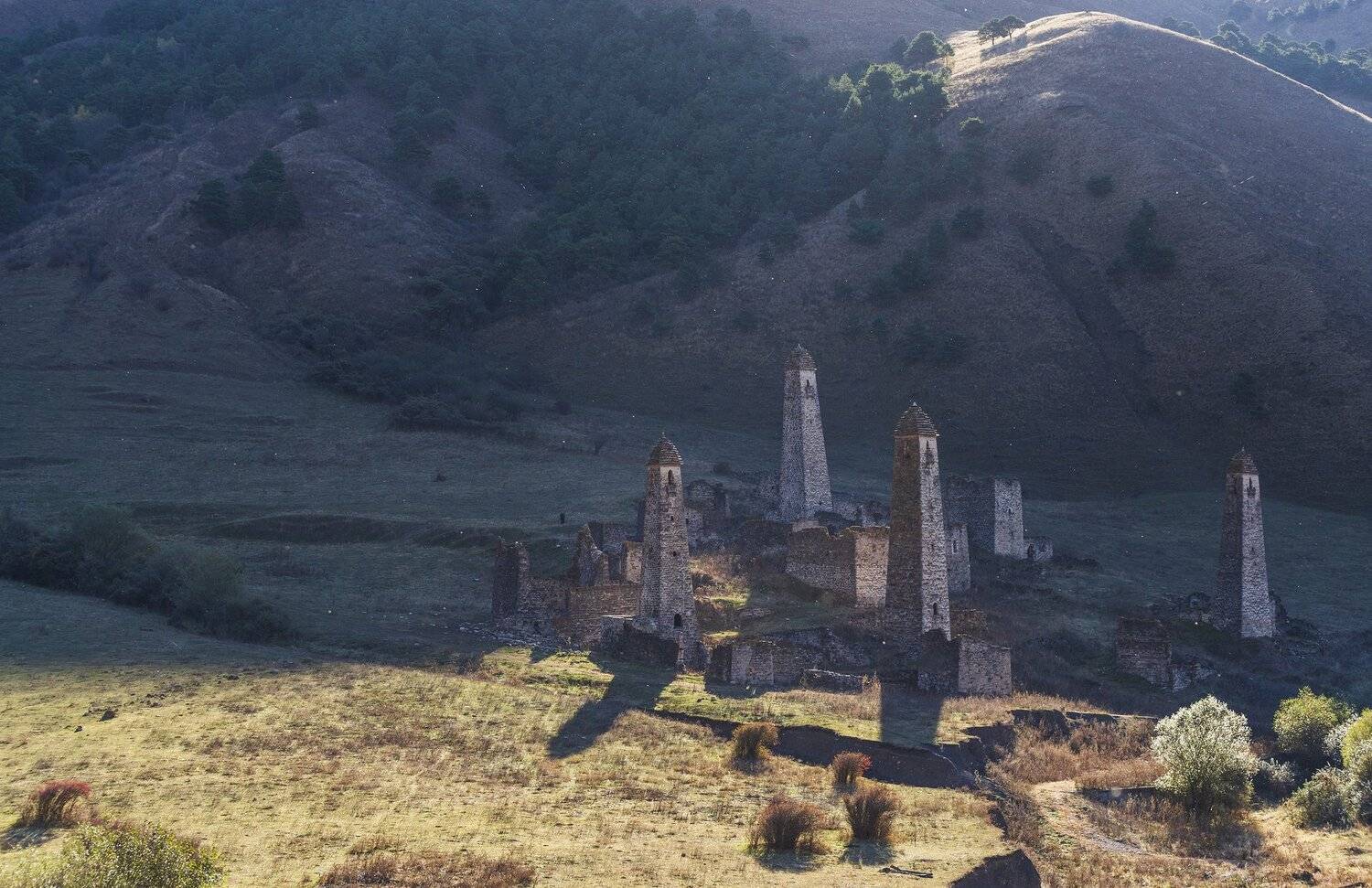 , Дмитрий Новоселов