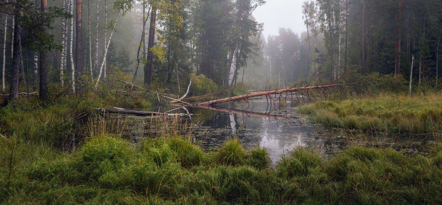 суходол сентябрь туман, Дмитрий Алексеев