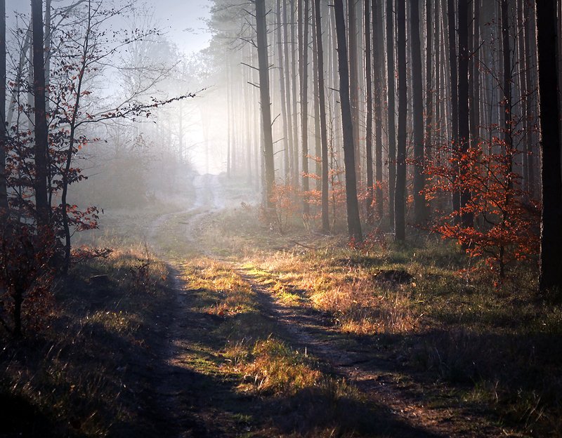 ... фото превью