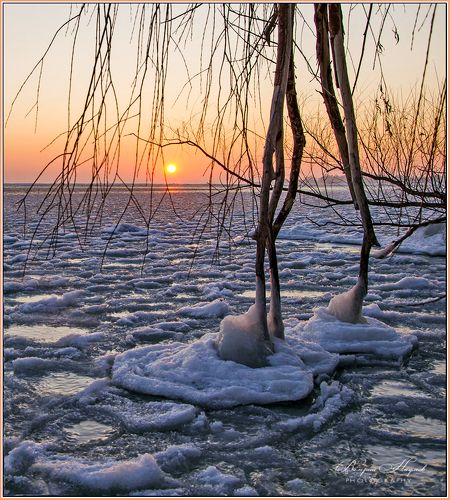 Про рассвет и ледяные лепёшки