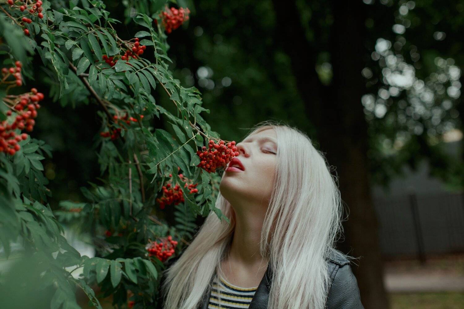 портрет, Marie Dashkova