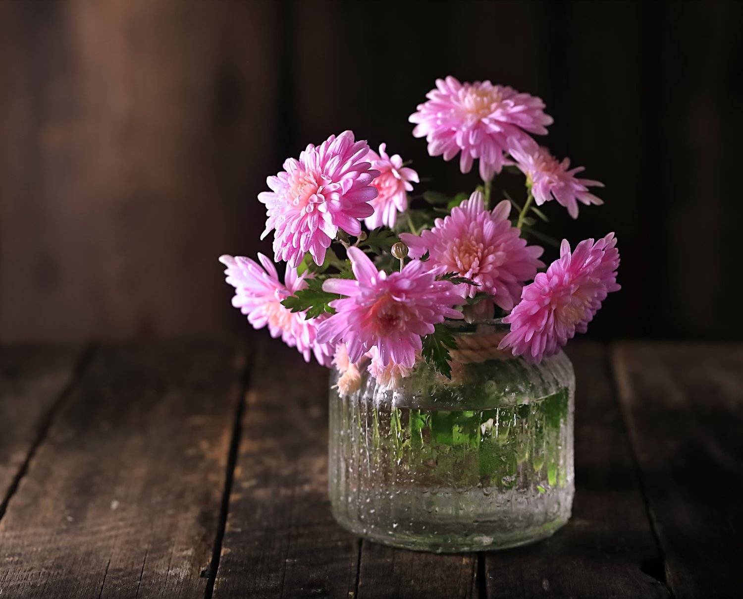 , Наталья Бочкарева