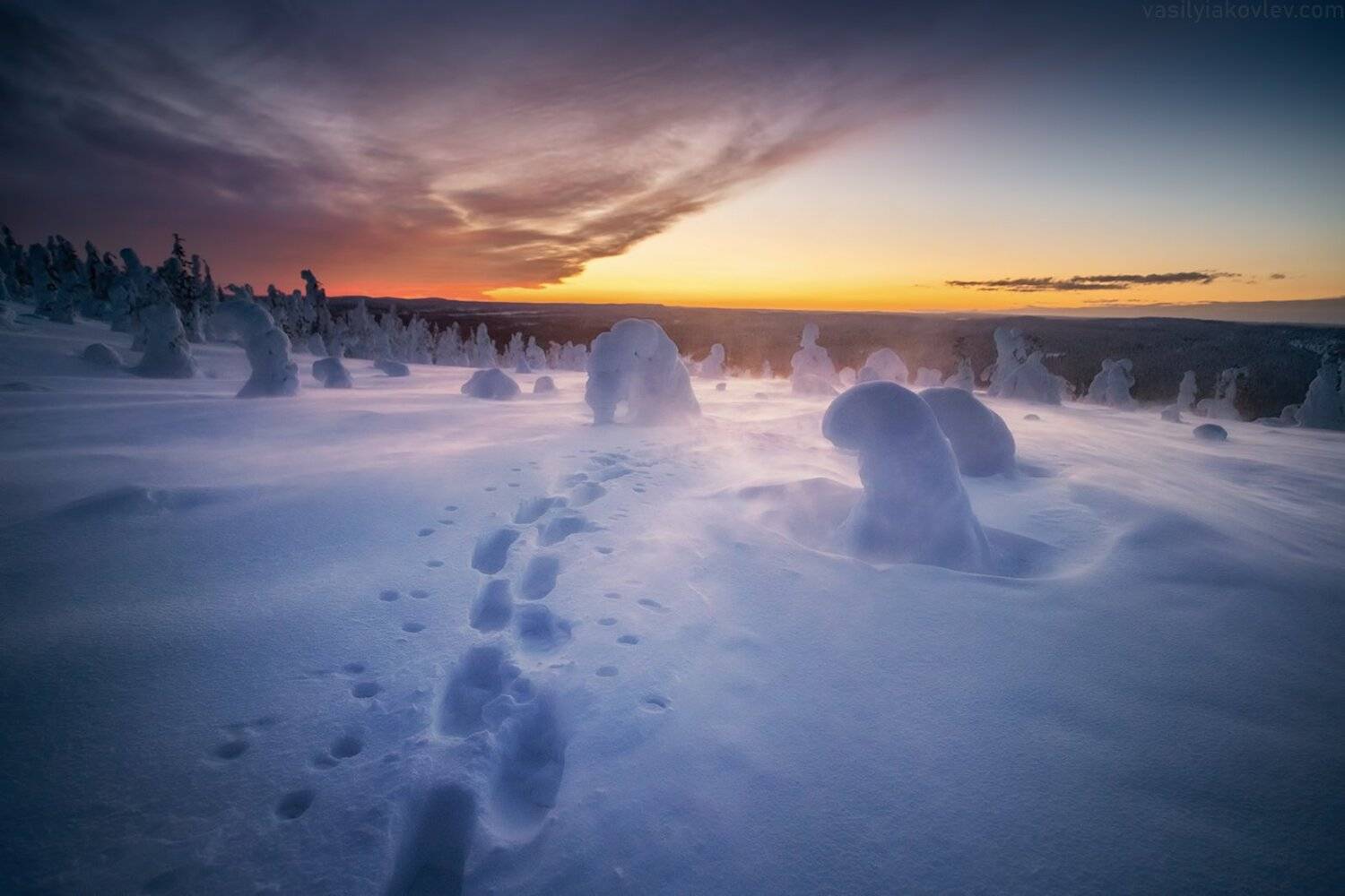 лапландия, финляндия, Василий Яковлев