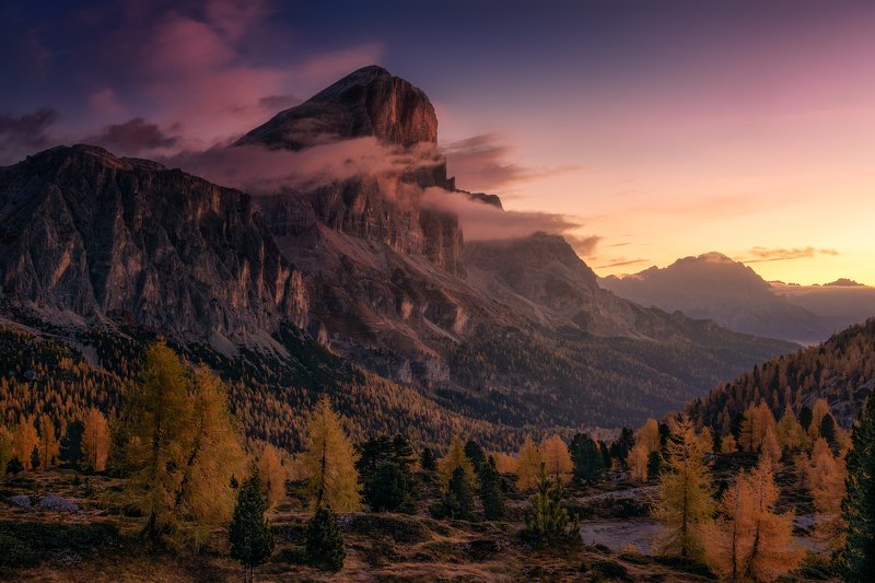 Tofana di Rozes фото превью