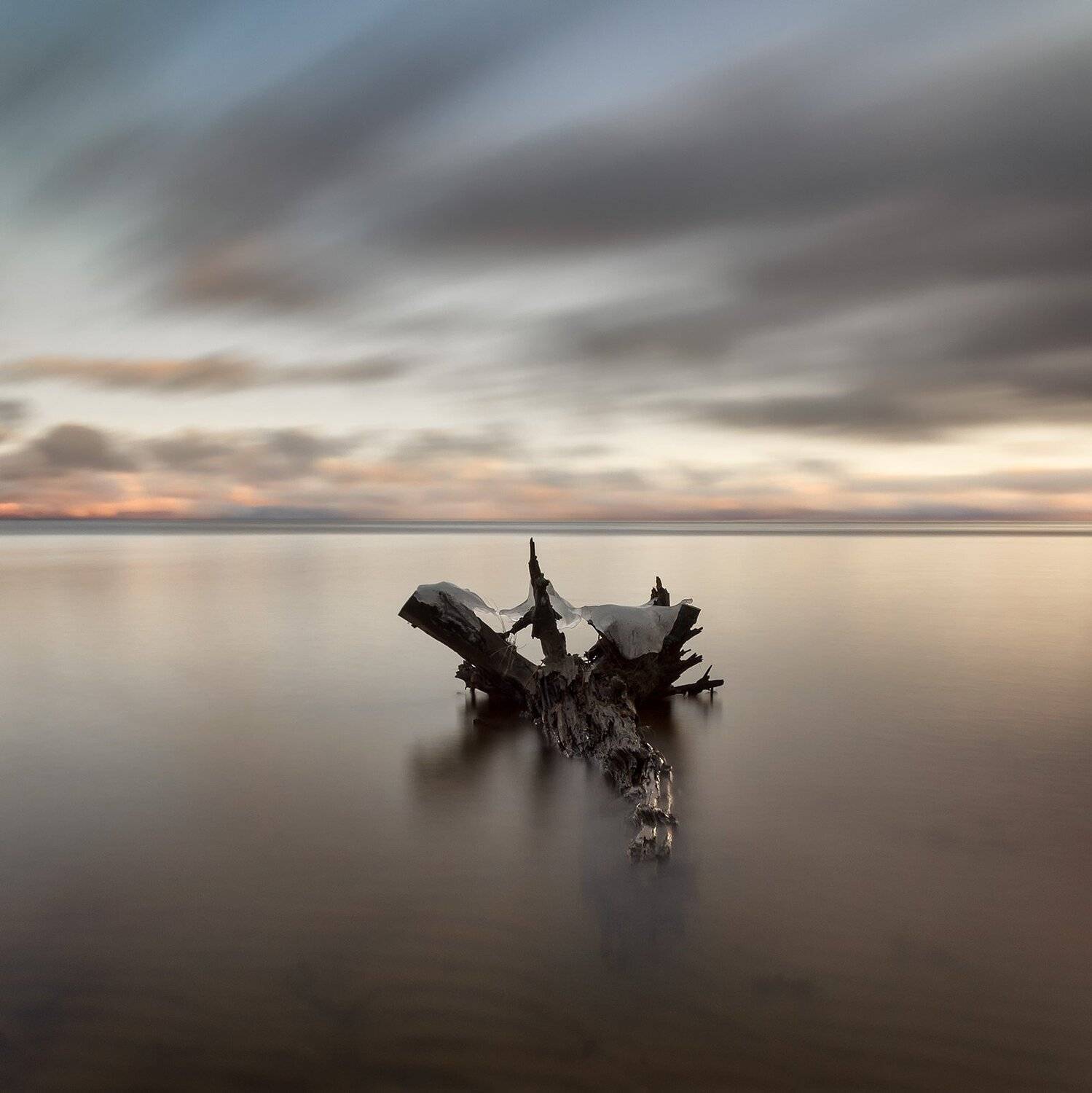 , Федотов Антон