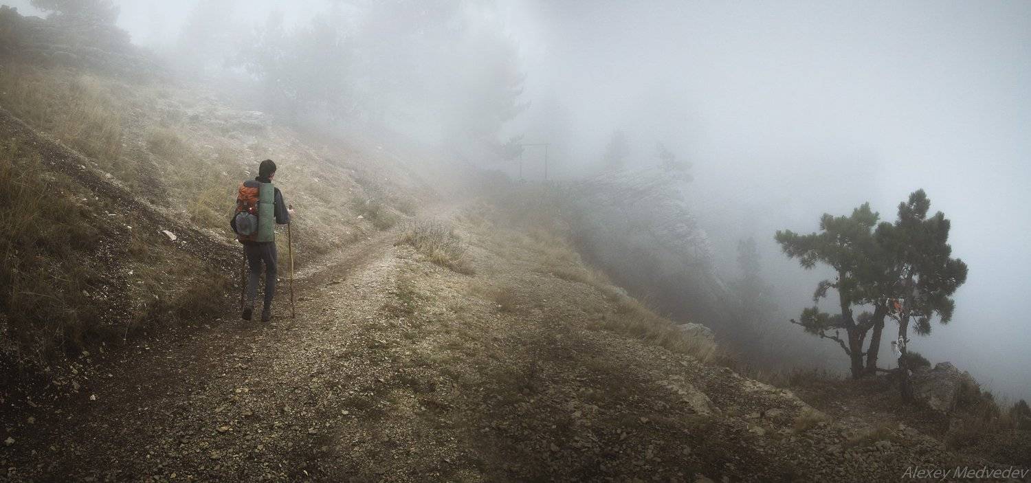 Крым, ай петри, туман, горы, , Алексей Медведев