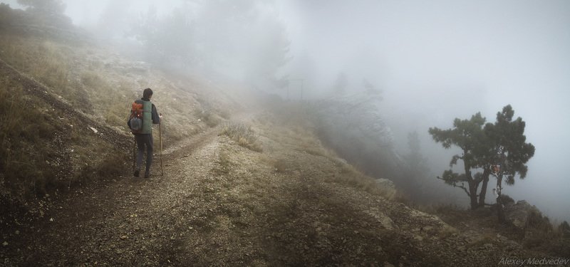 Крым, ай петри, туман, горы,  Путник фото превью