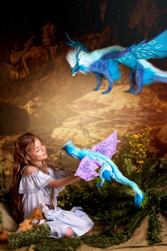 Софи и драконы фото превью