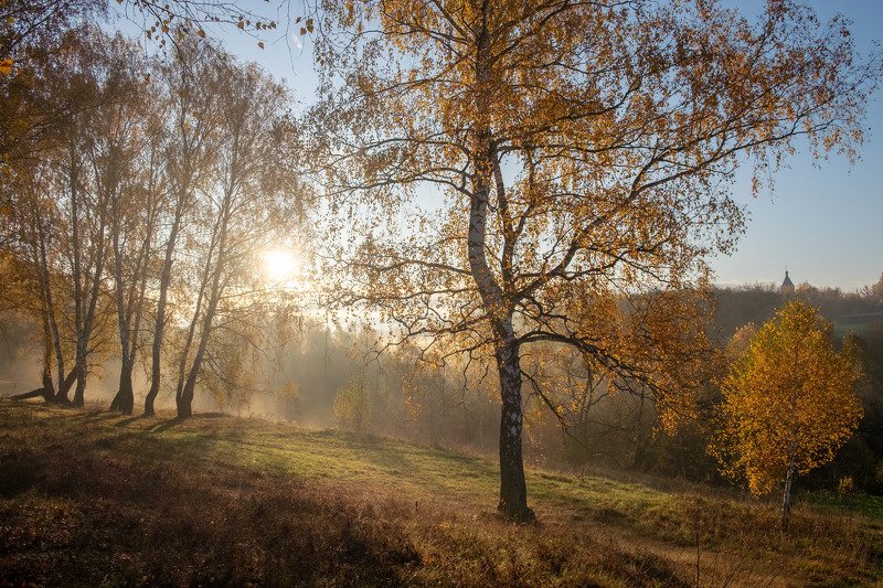 Портфолио фото превью