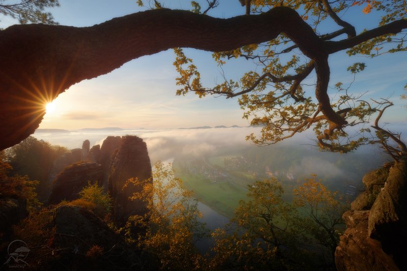 эльба, река, утро, пейзаж, саксония, богемия Утро на Эльбе фото превью