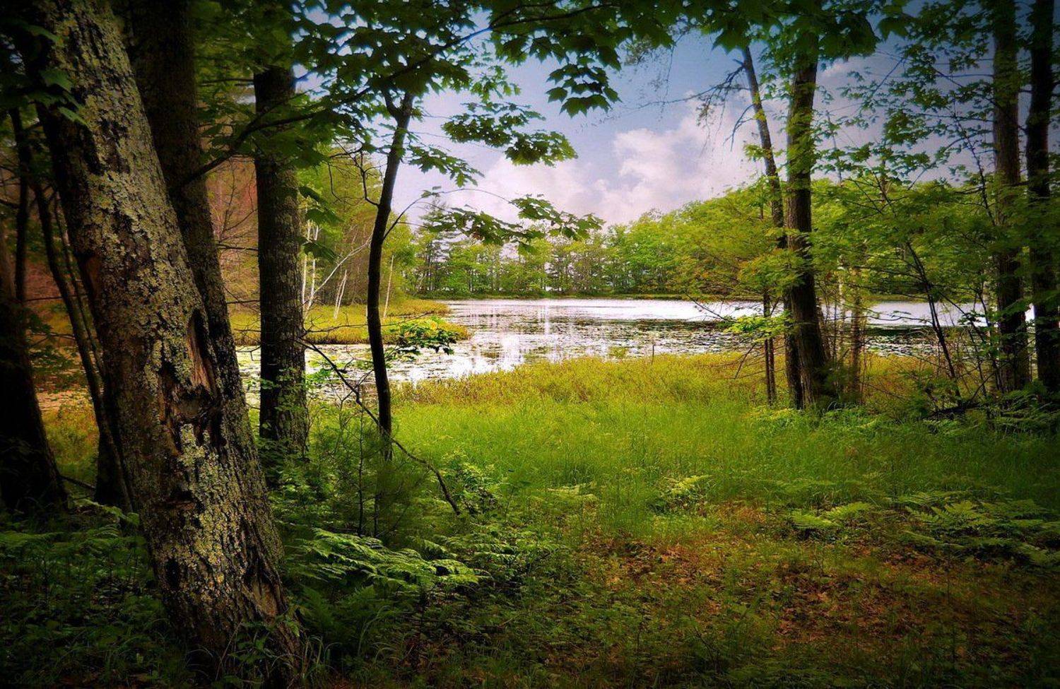 , Razgulyaev Aleksandr