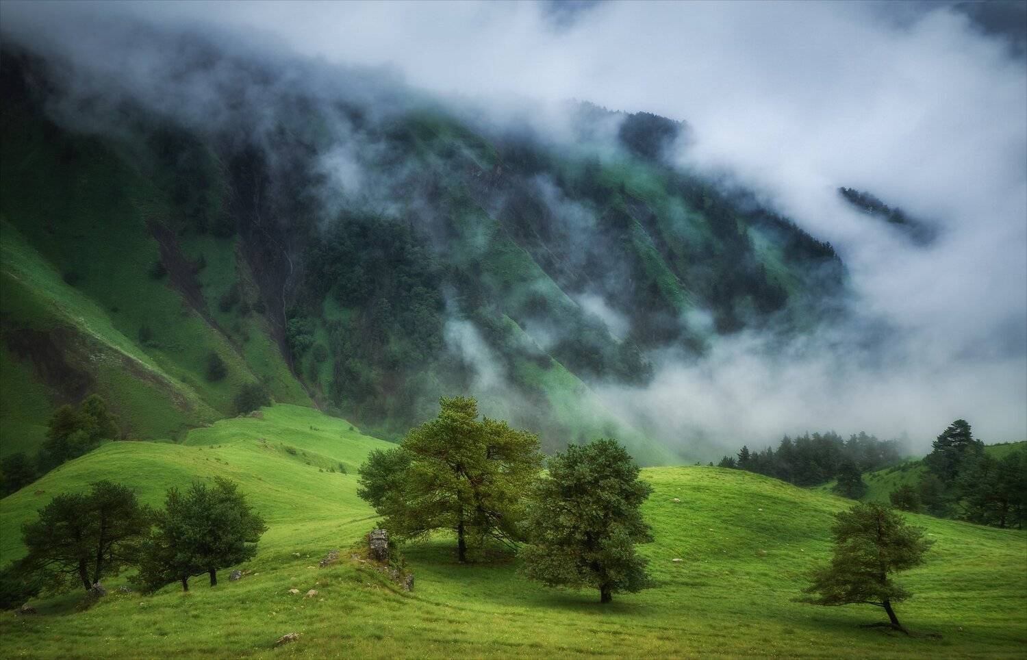 , Алексей Богорянов