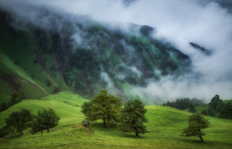 Холодное горное лето. фото превью