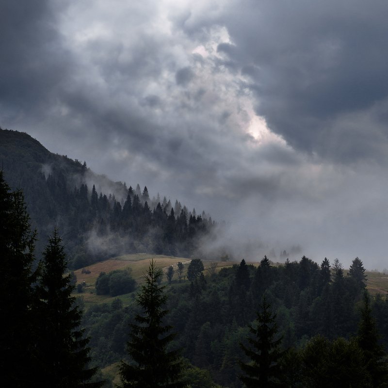 fog, landscape, landscapephotography, mountain, mountainlandscape, mountains, mountainscape, scape, ukraine, foggylandscape, пейзаж, горы, облака, туман, украина Fog in the mountains фото превью
