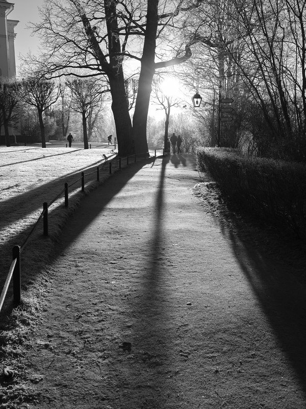 павловск, мороз, солнце, люди, контровой свет 3. фото превью