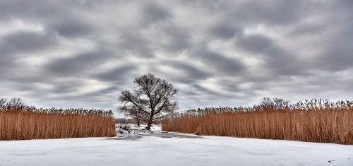 Панорамка