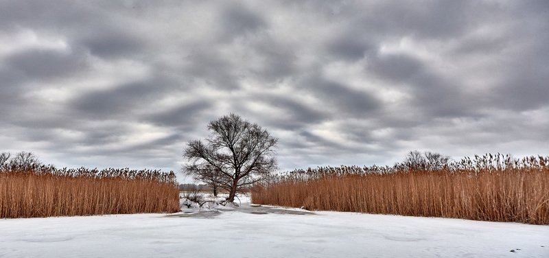 Панорамка фото превью