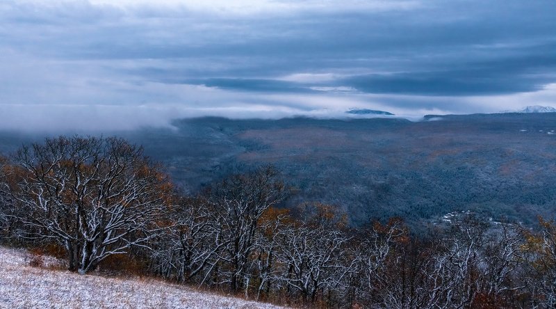 Про позднюю осень и раннее утро... фото превью