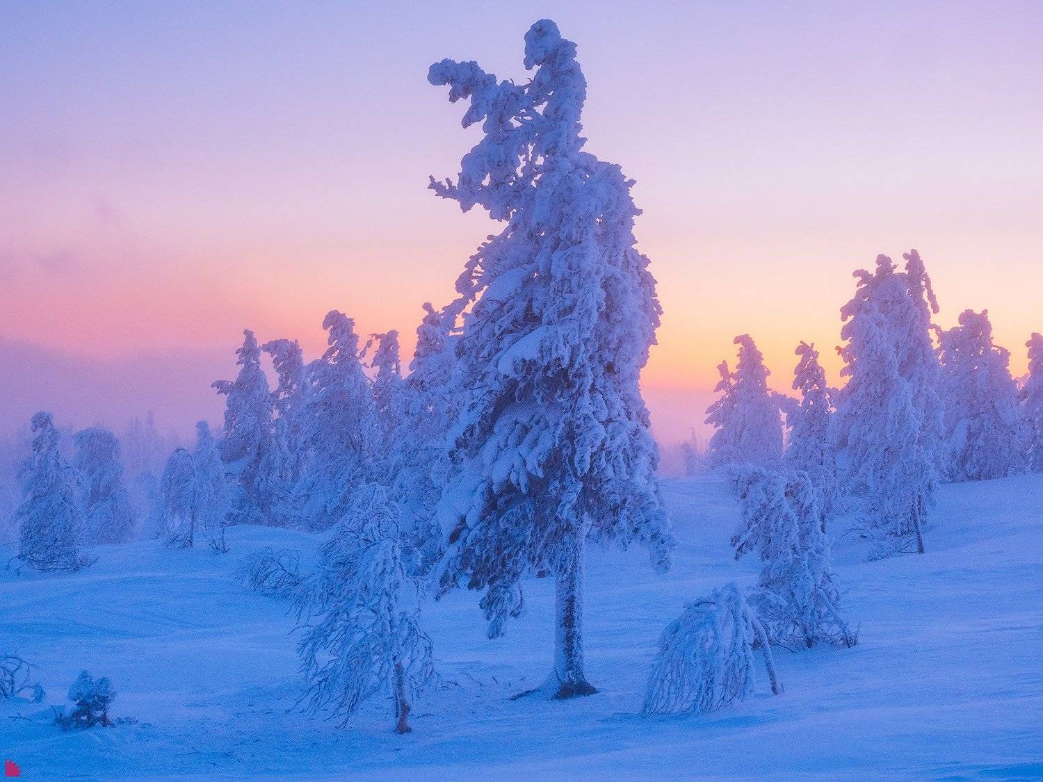 , Осипов Ёжъ Александр