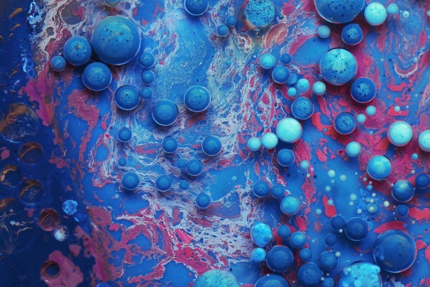 , Лапшина Владлена