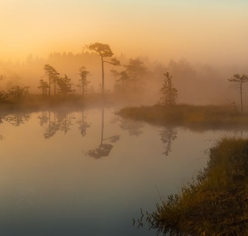 Зеркальный штиль
