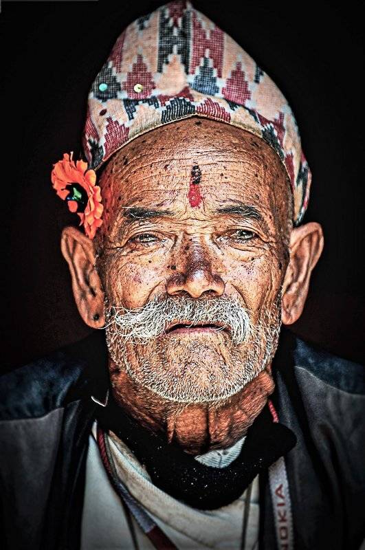 портрет , zohar ferro