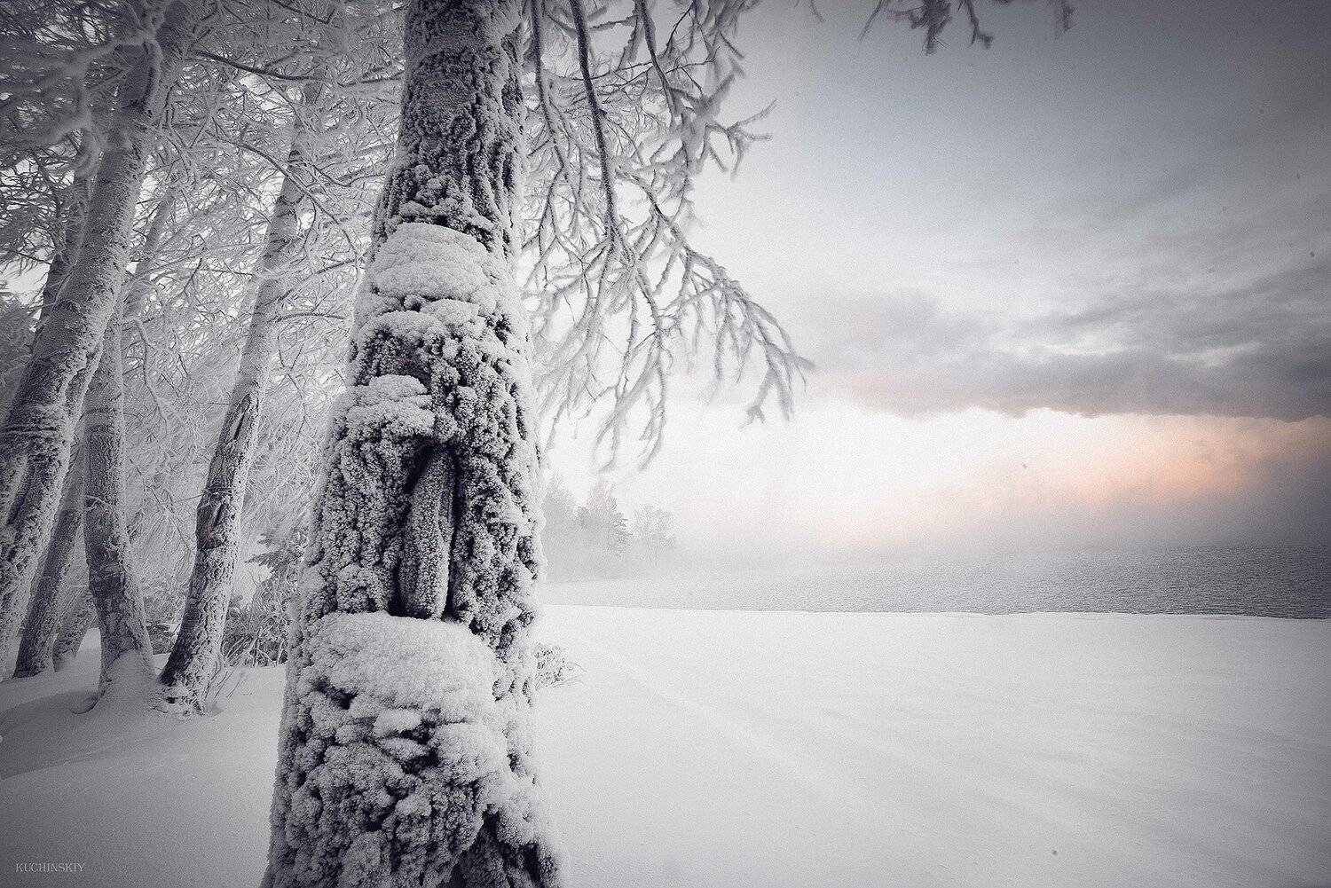 , Валерий Кучинский