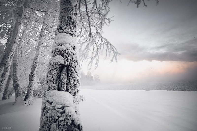 Белая мгла фото превью