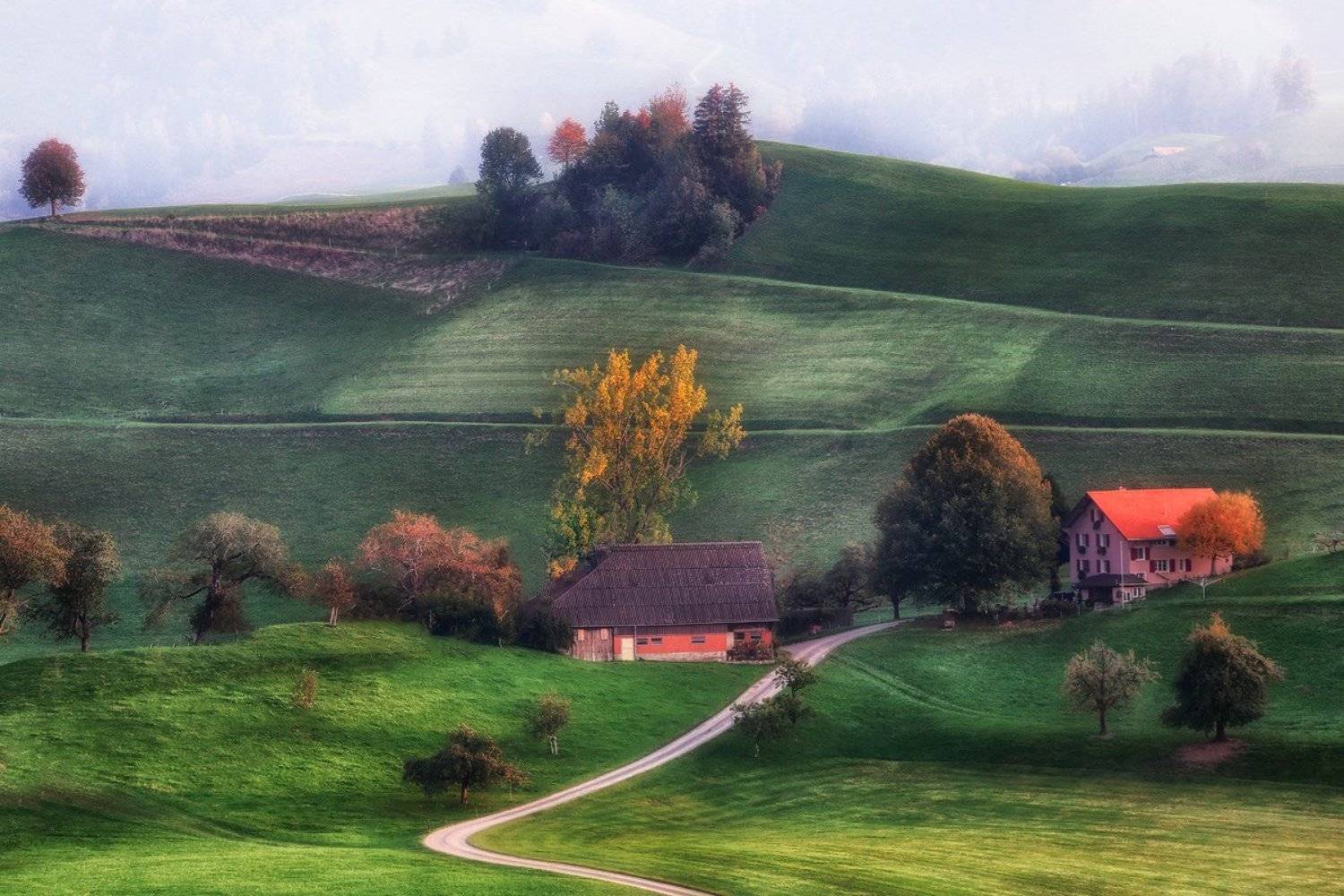 , Галина Хвостенко