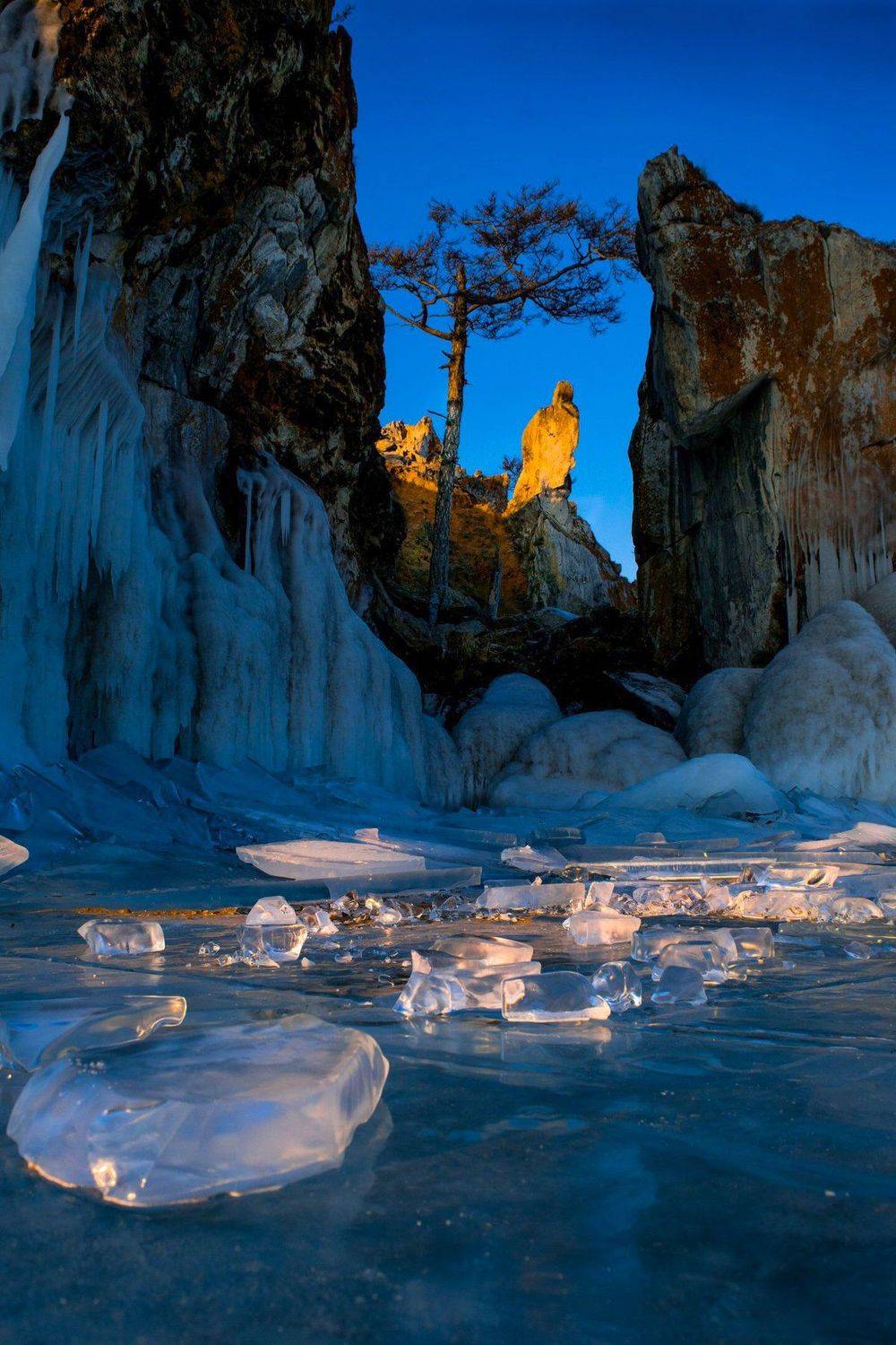 лед, дерево, утро, ольхон, Екатерина Назарова