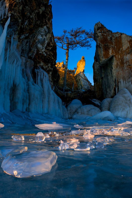 лед, дерево, утро, ольхон Лучи восходящего солнца фото превью