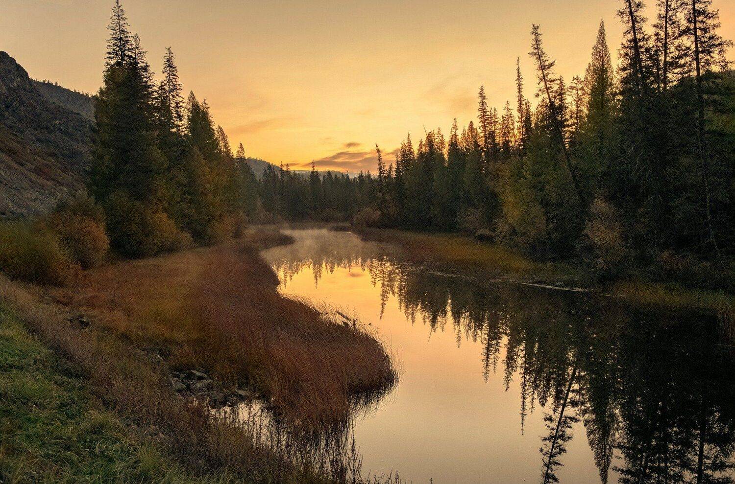алтай.река.. утро. рассвет., Марина Фомина
