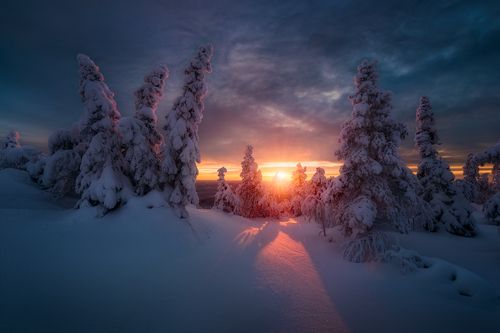 Зимнее солнце