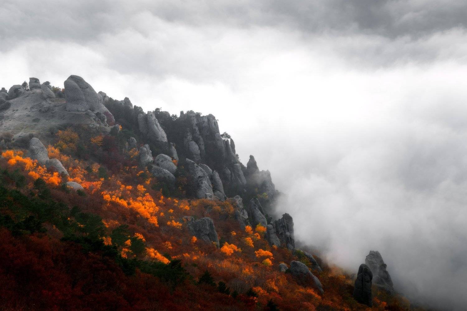 , Евгений Цап