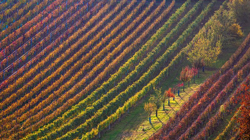 //////*/// фото превью