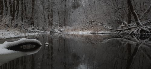 р. Крушма, Тульская обл.