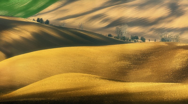 Fields... фото превью