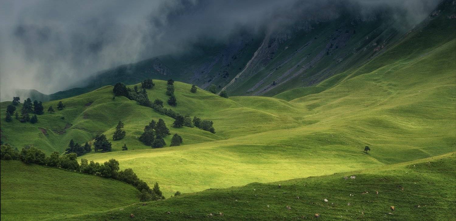 , Алексей Богорянов