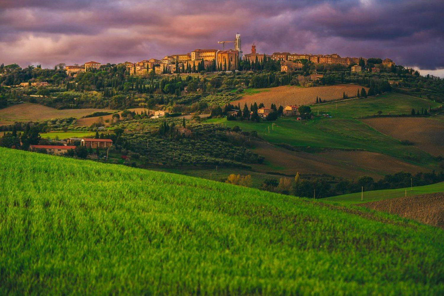 , Алексей Котлов