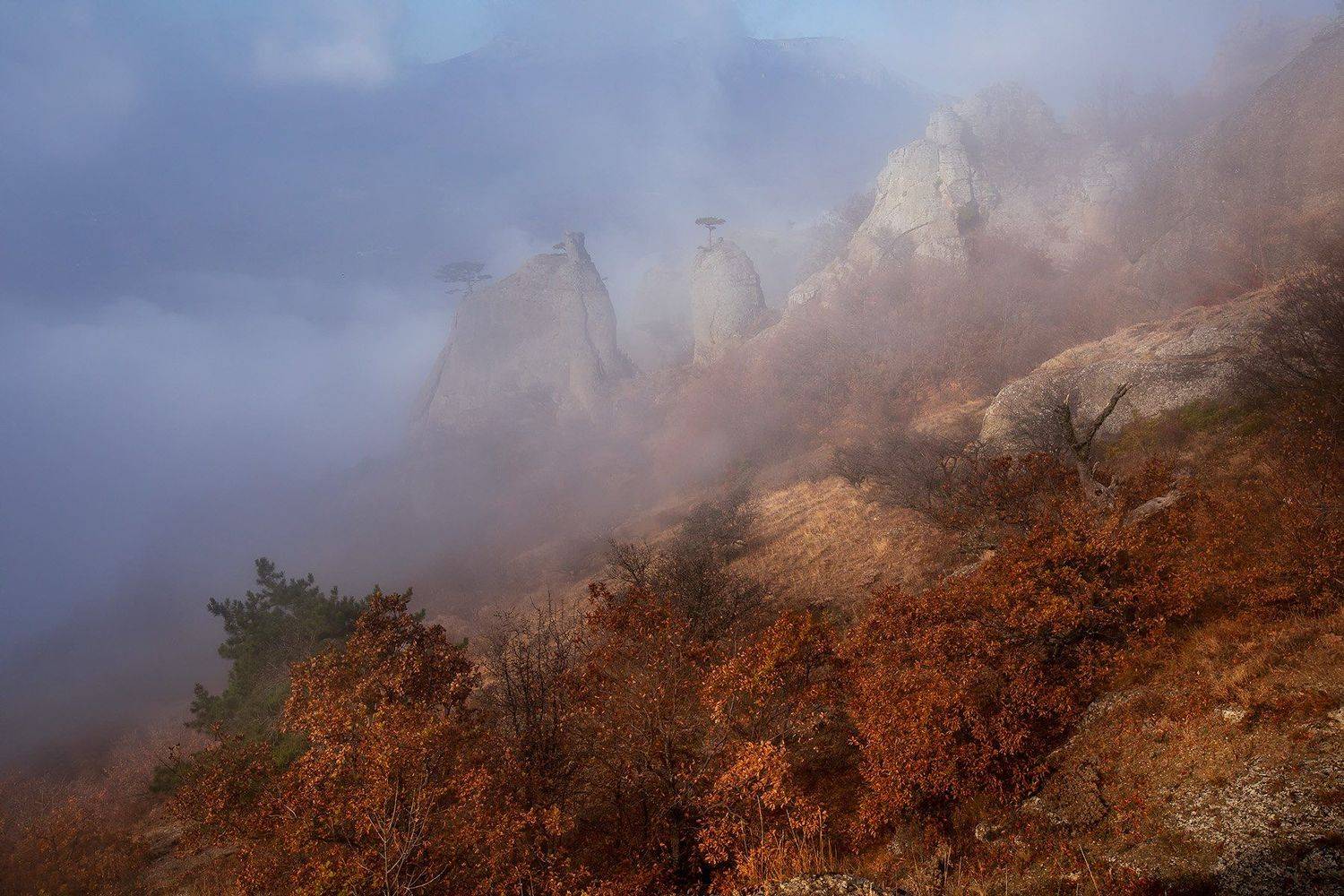 , Александр Костенко