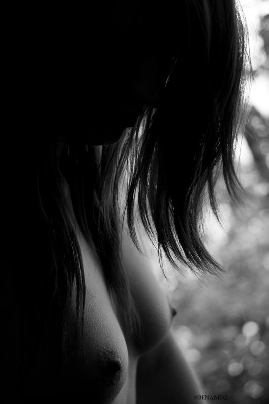 Nude B&W Silhouette  фото превью