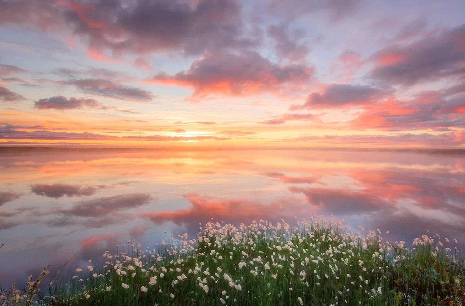 , Николай Андреев