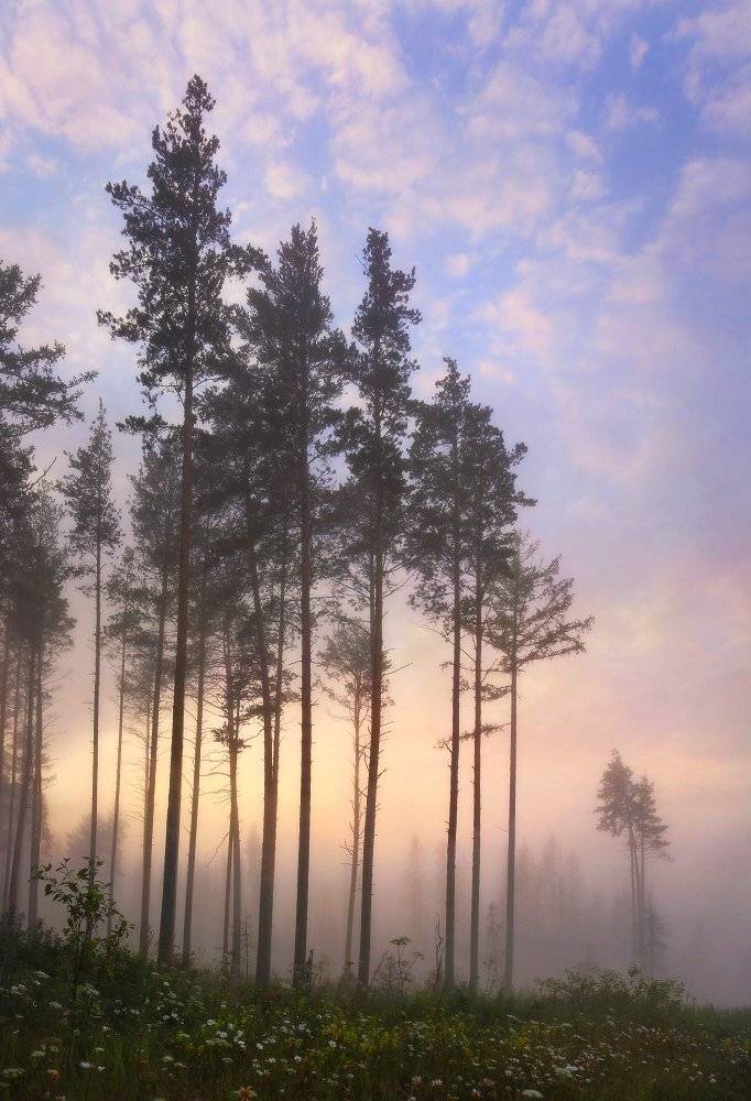 урал, рассвет, туман, Сергей Макурин