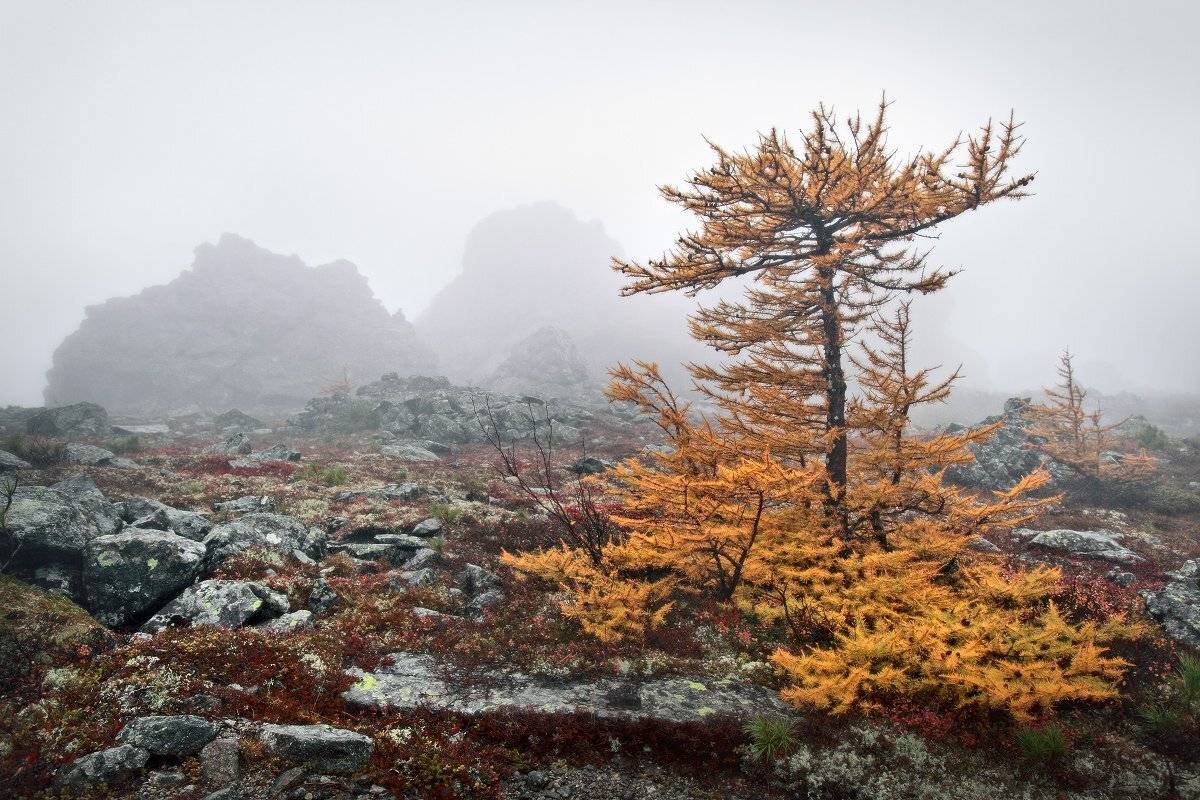 урал, осень, серебрянский камень, Сергей Макурин